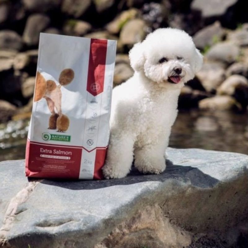 Nature's Protection Extra Salmon Dog [2 Sizes]