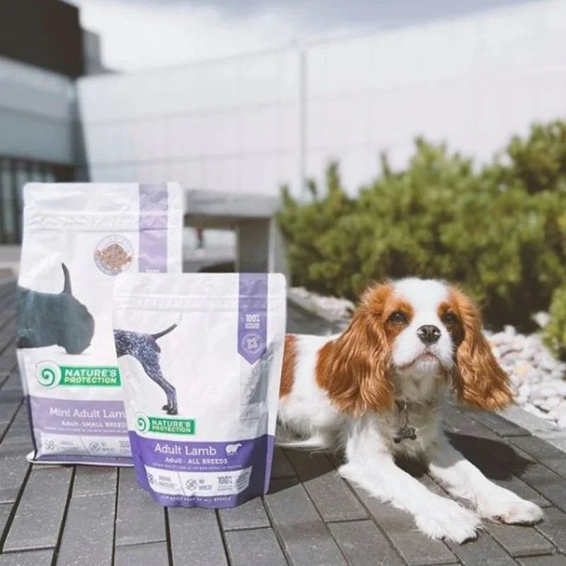 Nature's Protection Mini Adult Lamb Dog - 2kg