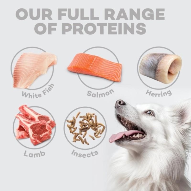 Nature’s Protection Superior Care White Dogs Lamb Small Breed Dog - 1.5kg