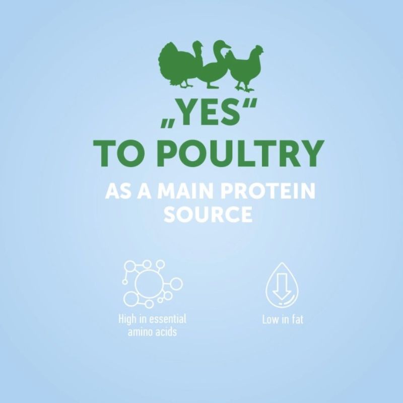 Nature's Protection Urinary Formula-S Adult Cat - 2kg