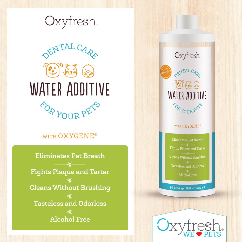 Oxyfresh Dental Care Water Additive for Pets