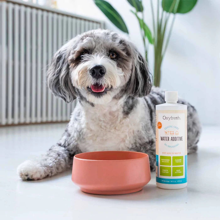 Oxyfresh Dental Care Water Additive for Pets