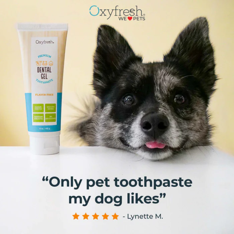 Oxyfresh Pet Dental Gel