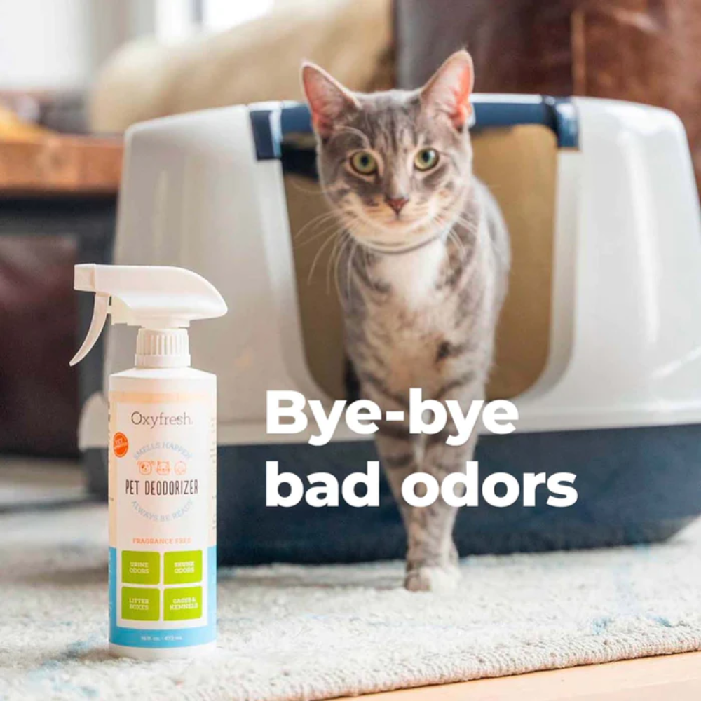Oxyfresh Smells Happen Pet Deodorizer for Pets 473ml