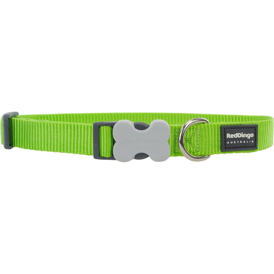 Red Dingo Classic Dog Collar 12mm