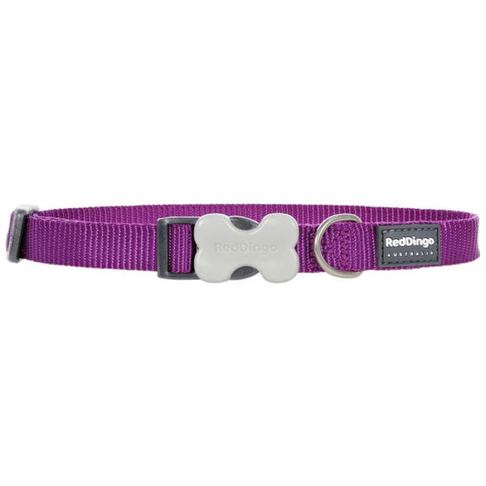 Purple Red Dingo Classic Dog Collar, 15mm wide nylon webbing with a bone-shaped side-release buckle and stainless steel D-ring.