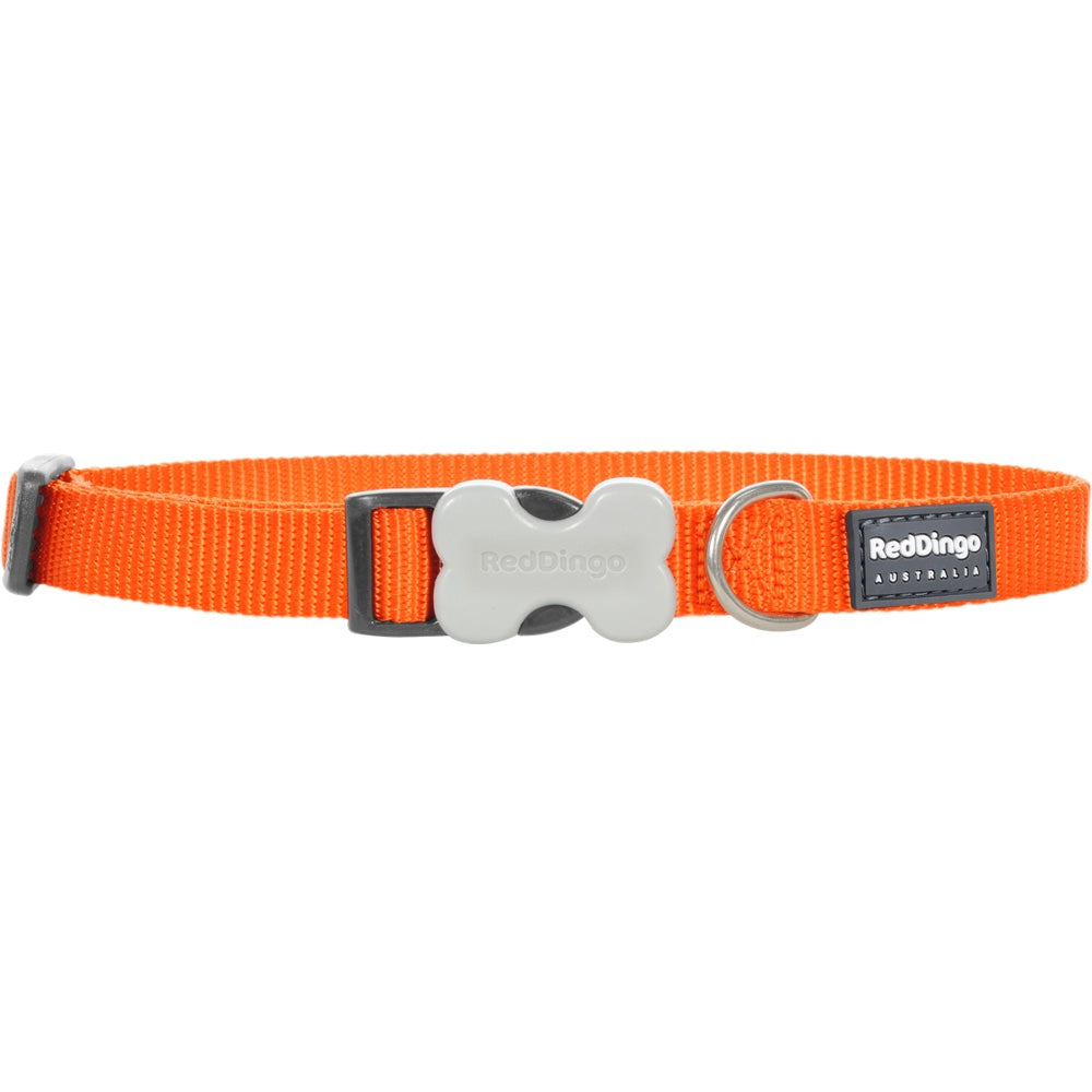 Red Dingo Classic Dog Collar 20mm
