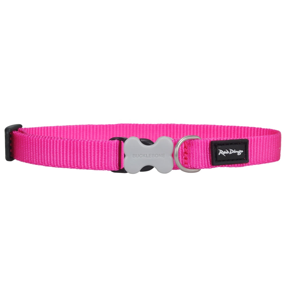 Bright pink nylon Red Dingo Classic dog collar with a gray bone-shaped Bucklebone clasp and stainless steel D-ring.