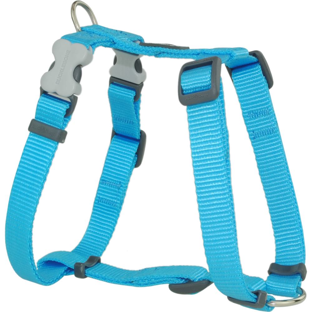 Red Dingo Classic 25mm dog harness in bright blue nylon webbing with gray Bucklebone clips and metal D-ring.