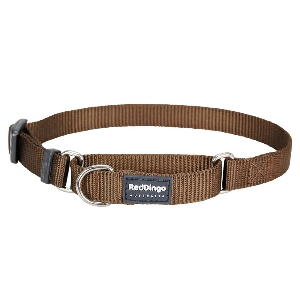 Brown Red Dingo Classic Martingale Dog Collar, 12mm wide nylon webbing with stainless steel D-rings.