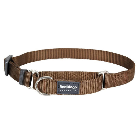 Brown Red Dingo Classic Martingale Dog Collar, 12mm wide nylon webbing with stainless steel D-rings.