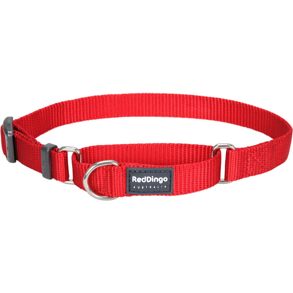 Red Dingo Classic Martingale Dog Collar 20mm