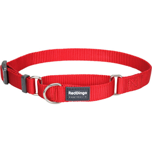 Red Dingo Classic Martingale Dog Collar 20mm