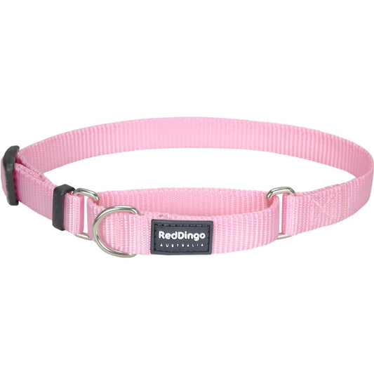 Red Dingo Classic Martingale Dog Collar 25mm