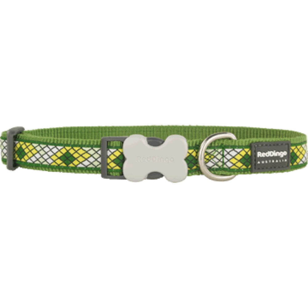 Green Red Dingo Monty dog collar with yellow and white argyle pattern, bone buckle, and stainless steel D-ring.