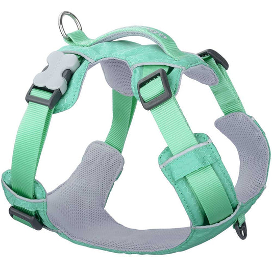 Red Dingo Sport Harness in pastel green with breathable mesh lining, Bucklebone clip, and control handle.