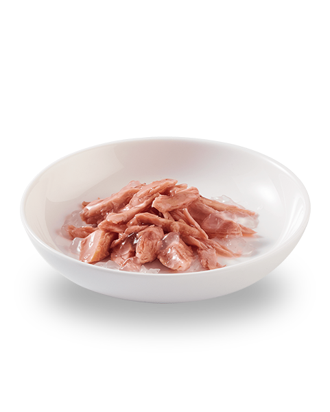 Schesir Tuna In Jelly 140g