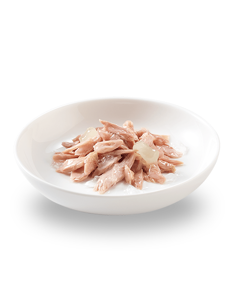 Schesir Tuna With Aloe In Jelly Kitten 140g