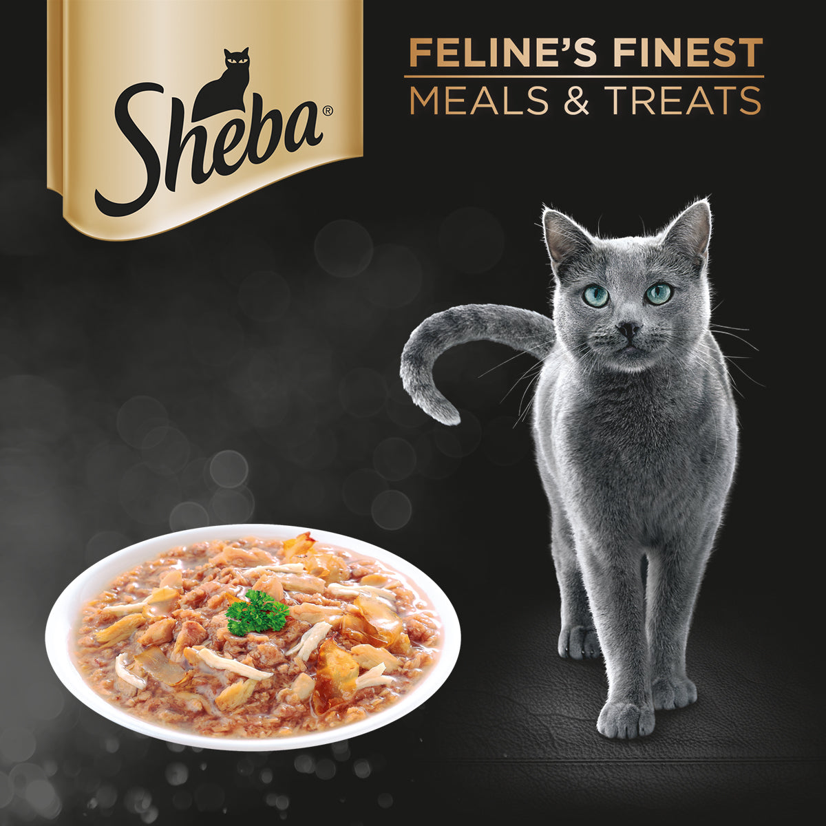SHEBA Cat Wet Food Tuna Chicken and Bonito Flavor 70g