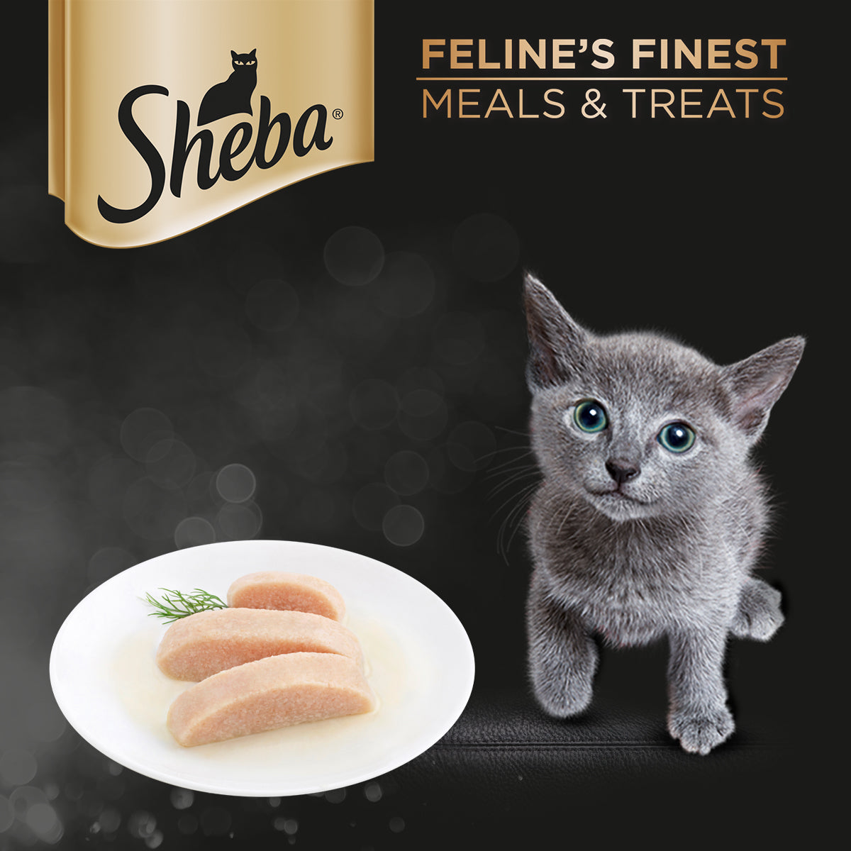 SHEBA Pouch Cat Food for Kitten in Chicken Flavor 70g