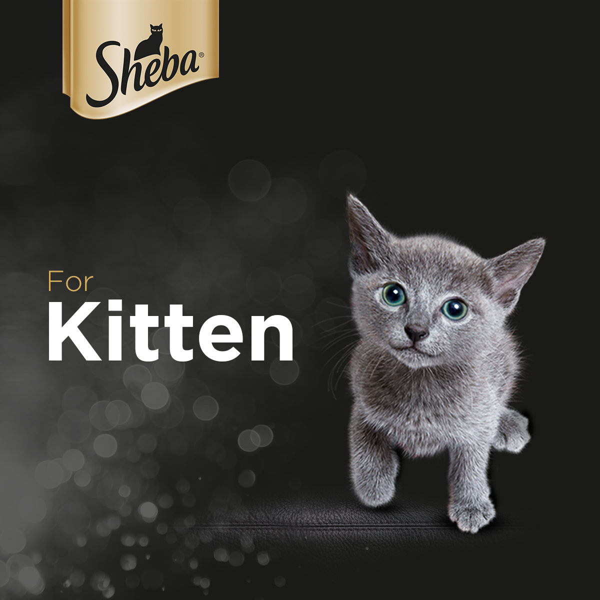 SHEBA Pouch Cat Food for Kitten in Chicken Flavor 70g