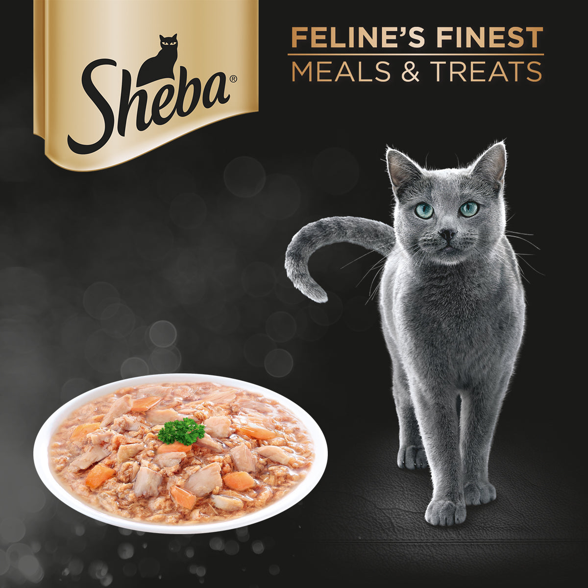 SHEBA Pouch Cat Wet Food Pouch Tuna and Salmon Flavor Wet Cat Food 70g