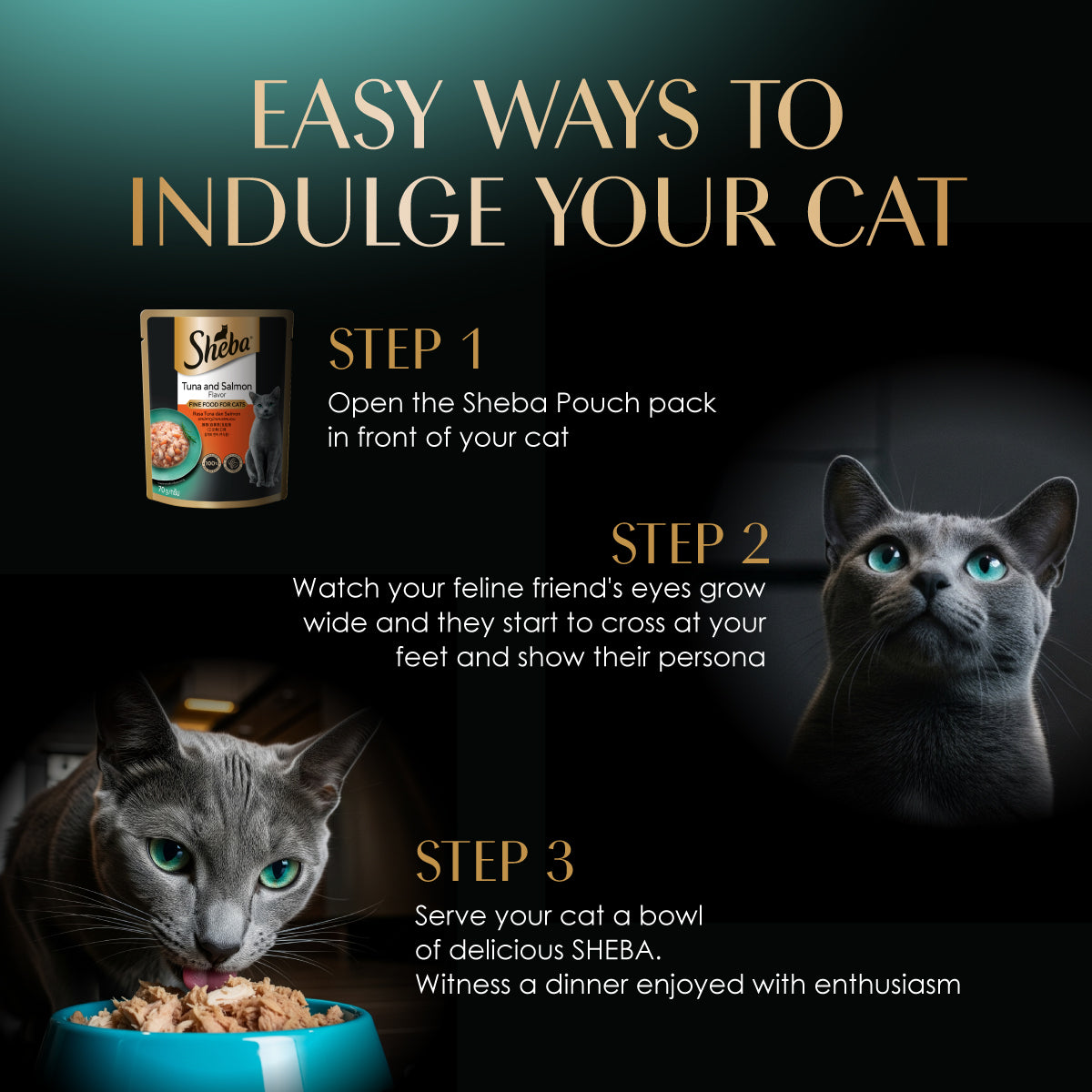 SHEBA Pouch Wet Food for Cats in Tuna Pumpkin And Carrot in Gravy Flavor 70g