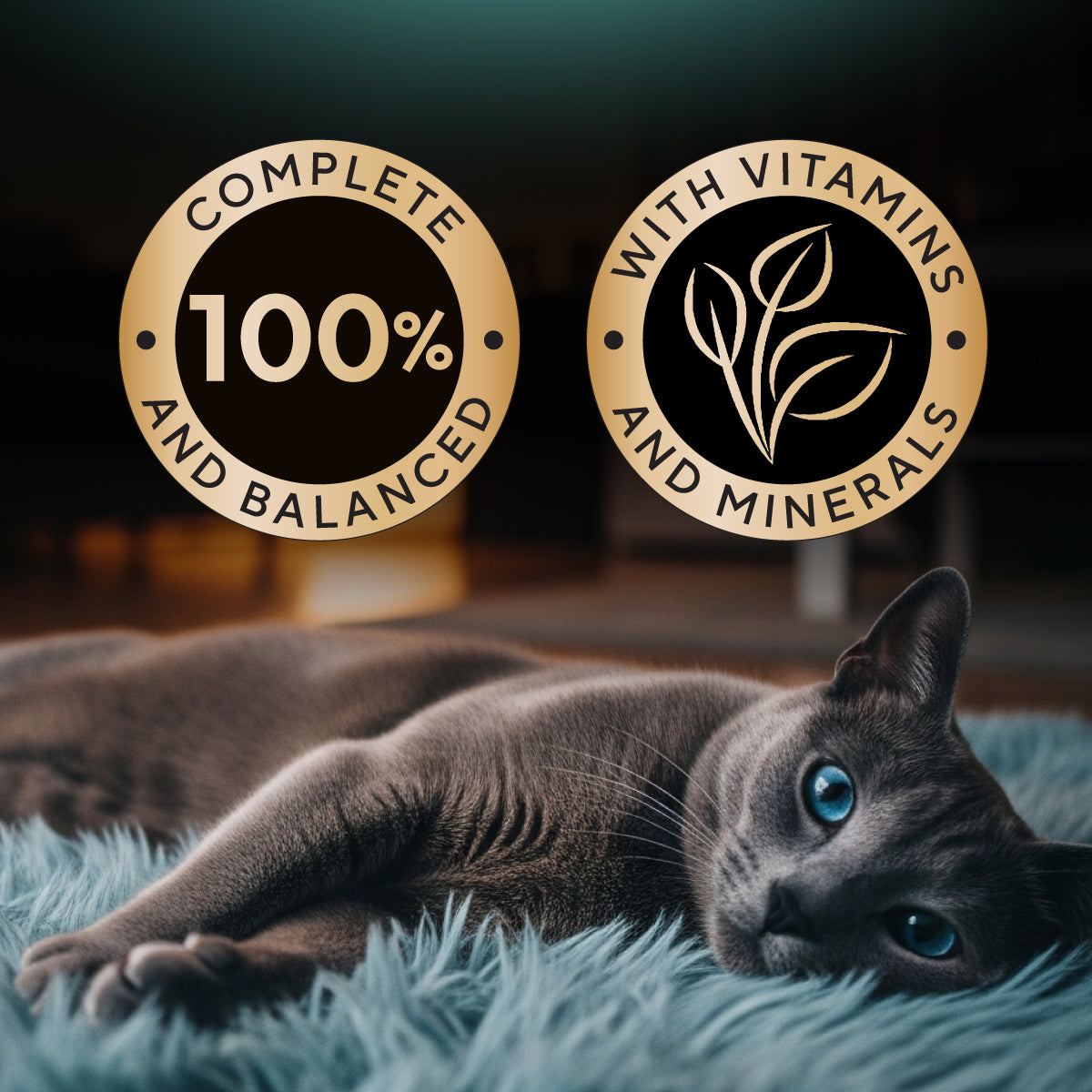 SHEBA Wet Food for Cats Tuna Flavor 70g