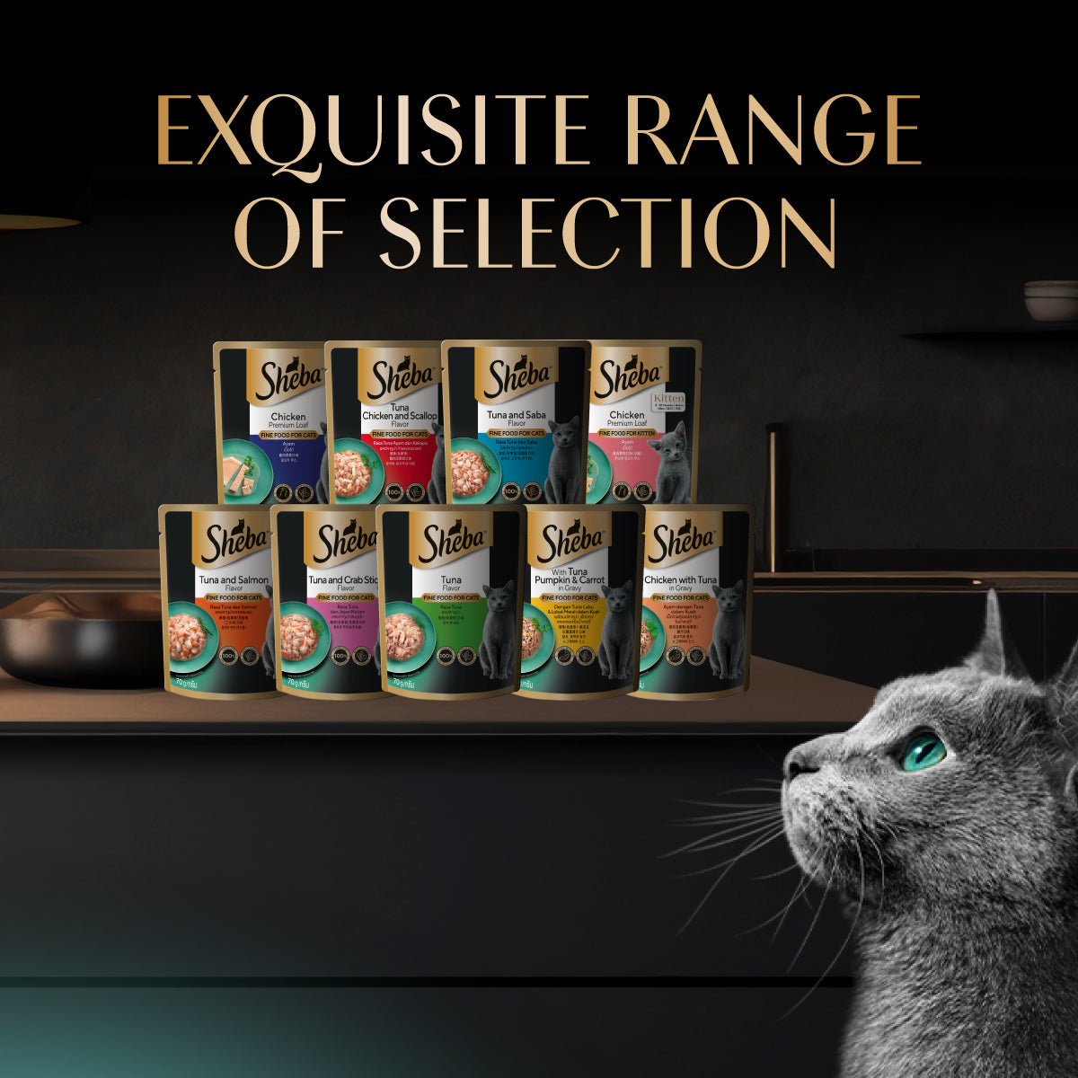 SHEBA Wet Food for Cats in Chicken with Tuna in Gravy Flavor 70g