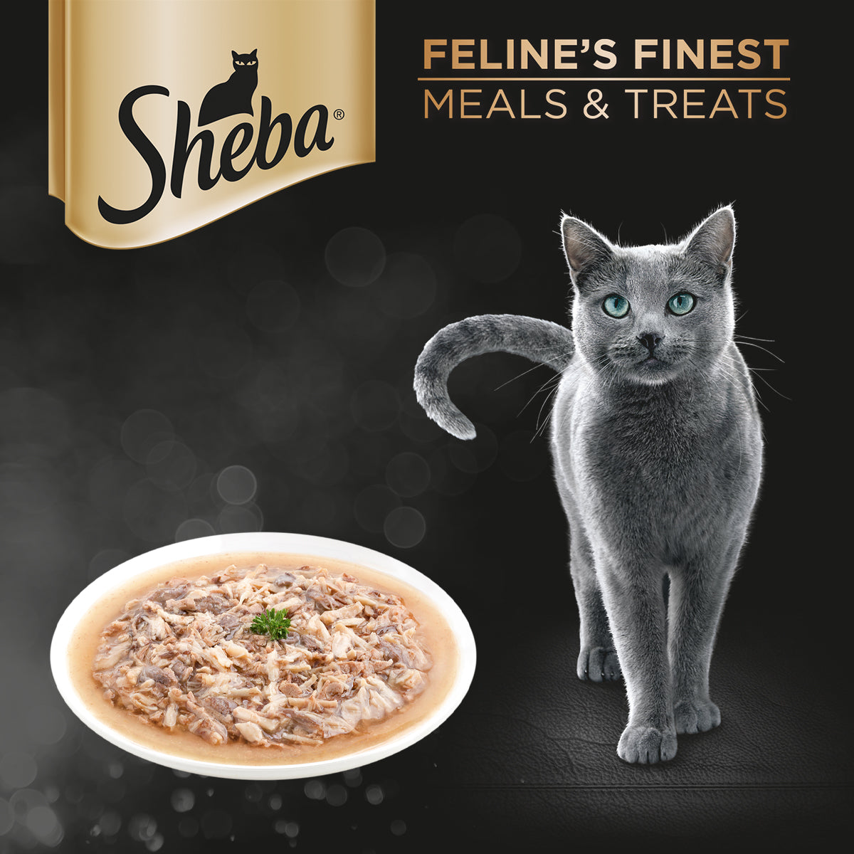 SHEBA Wet Food for Cats in Chicken with Tuna in Gravy Flavor 70g