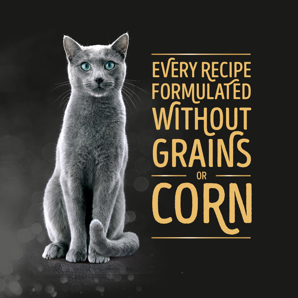 SHEBA Wet Food for Cats in Chicken with Tuna in Gravy Flavor 70g