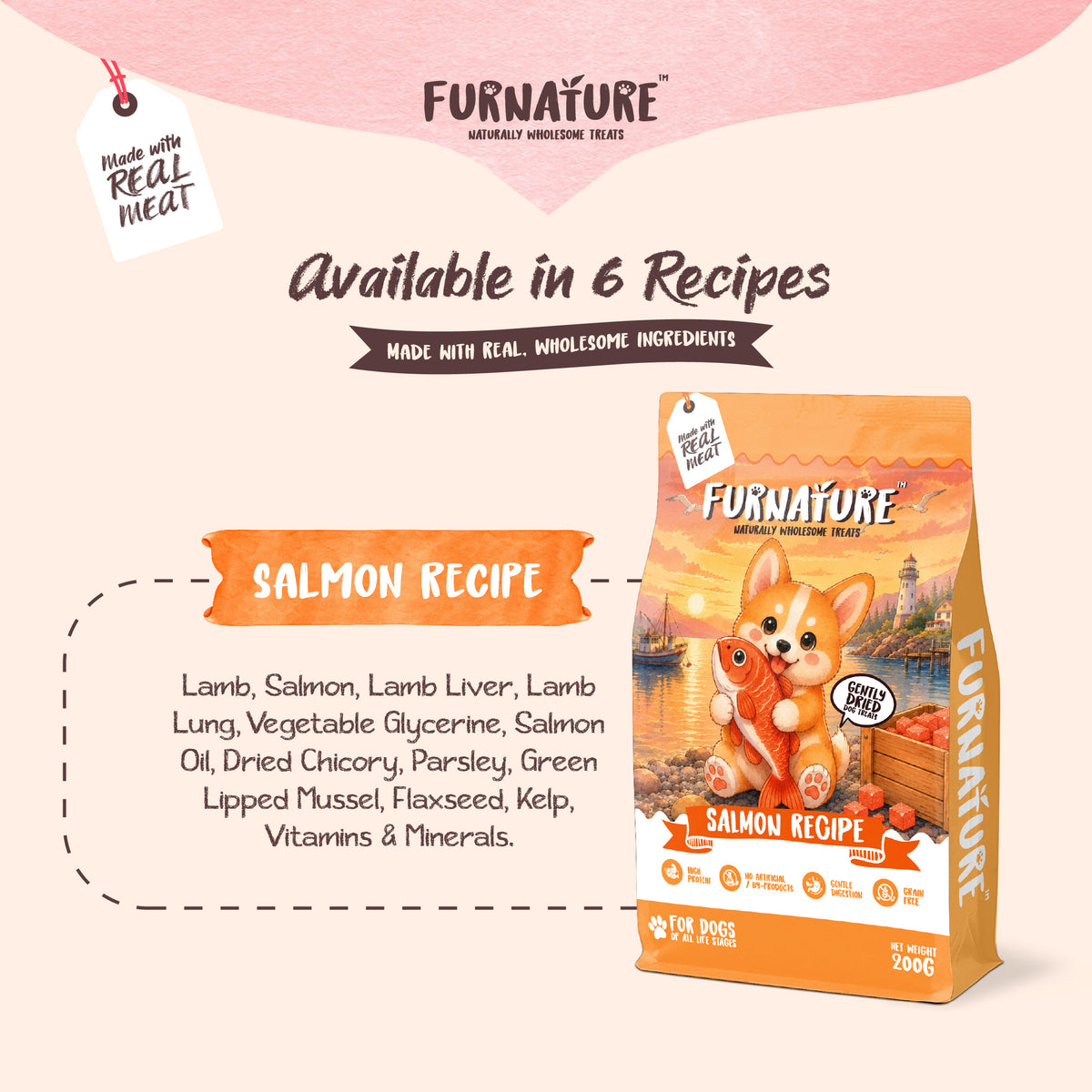 Fur Nature Natural Wholesome Gently Dried Dog Treats - Salmon Recipe (200g)