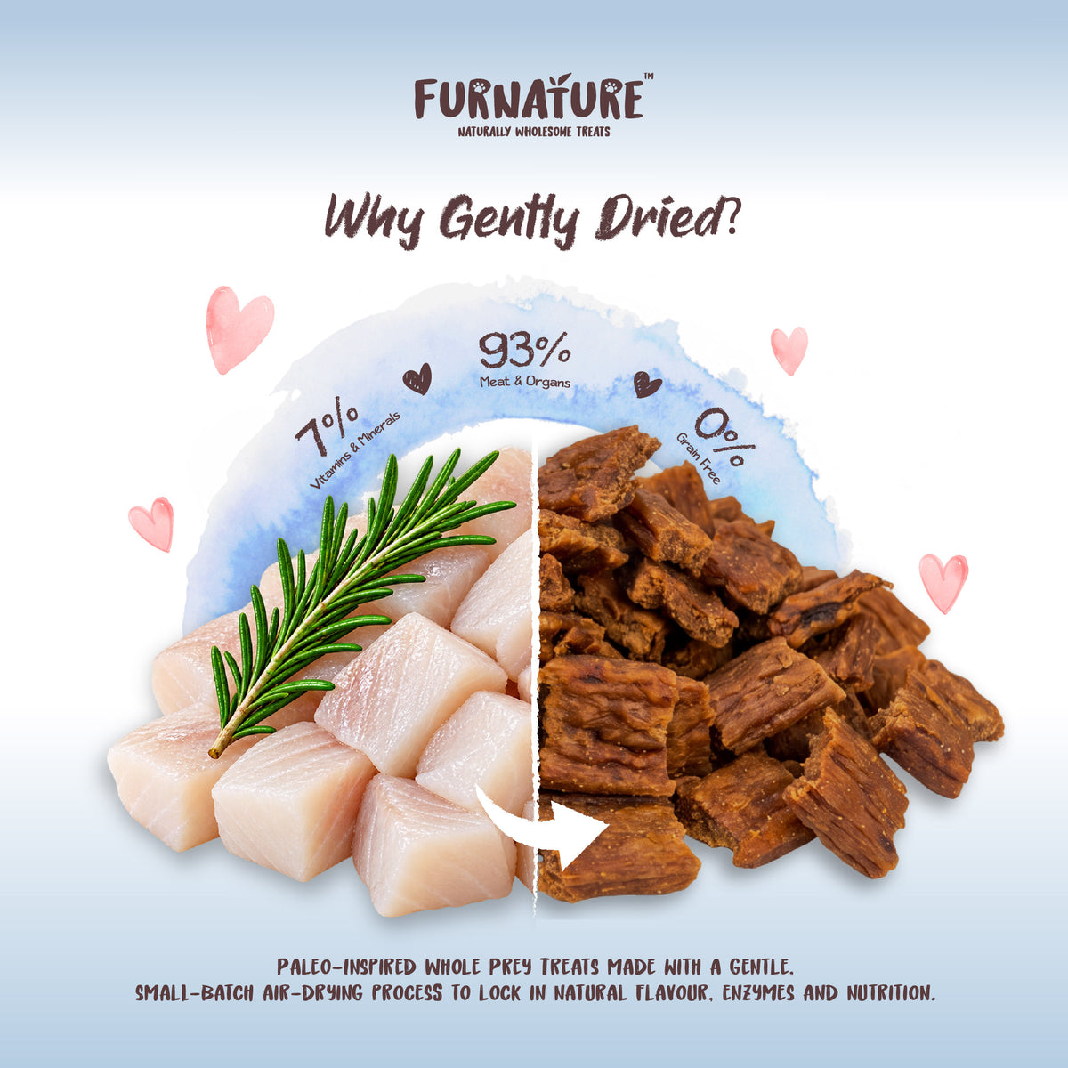 Fur Nature Natural Wholesome Gently Dried Dog Treats - Hoki Recipe (200g)