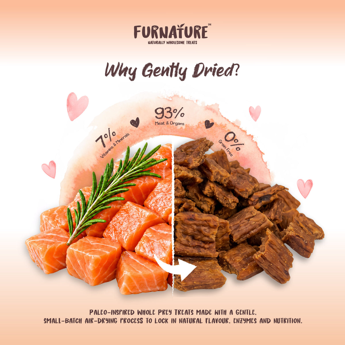 Fur Nature Natural Wholesome Gently Dried Dog Treats - Salmon Recipe (200g)