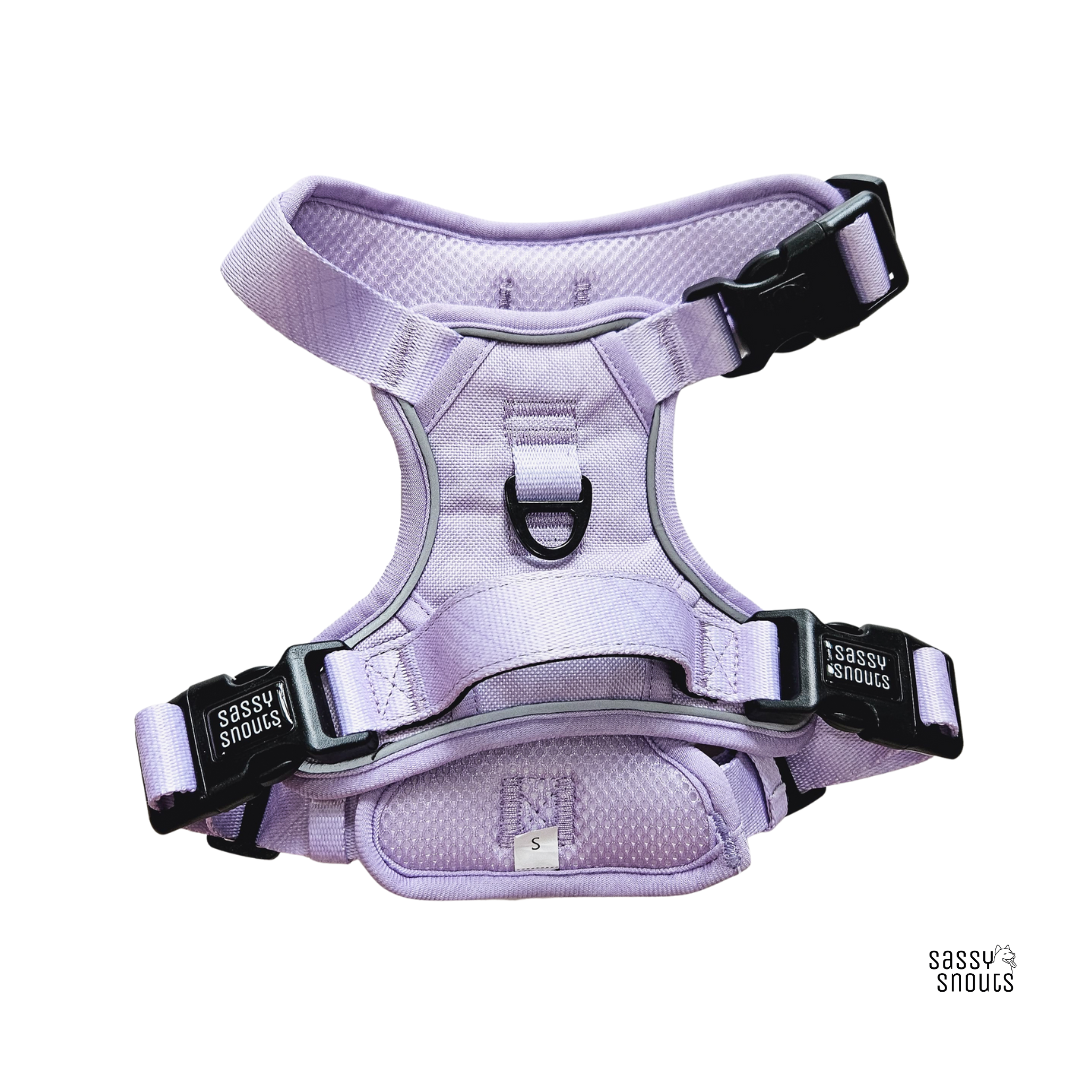Sassy Snouts Classic Harness in Lilac (Gen 2.0)