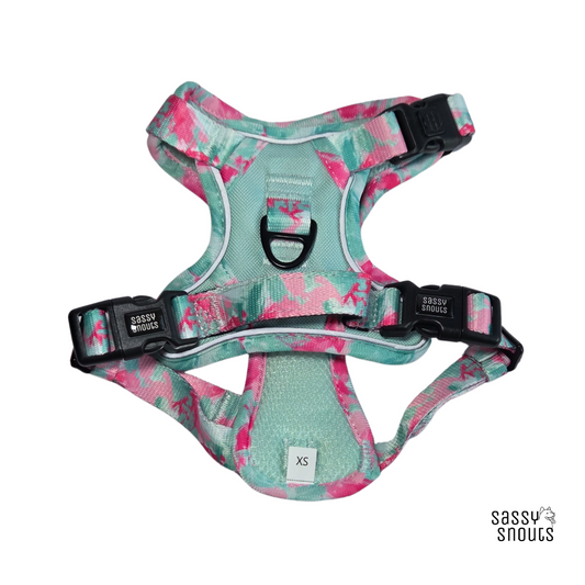 Sassy Snouts Classic Harness in Rosebud Mint