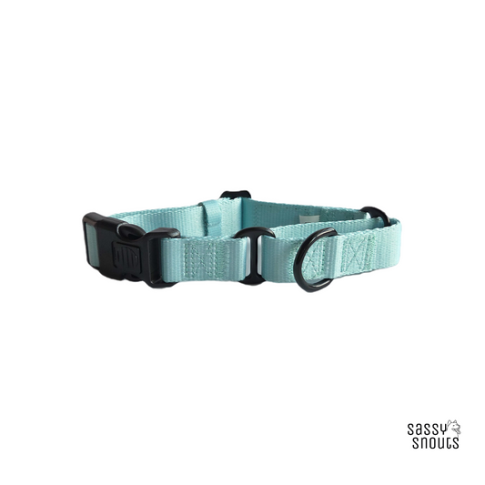 Sassy Snouts Classic Martingale Collar in Mint