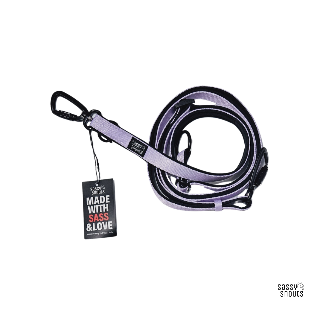 Sassy Snouts Classic Multi-way Padded Leash (2.5 cm) in Lilac