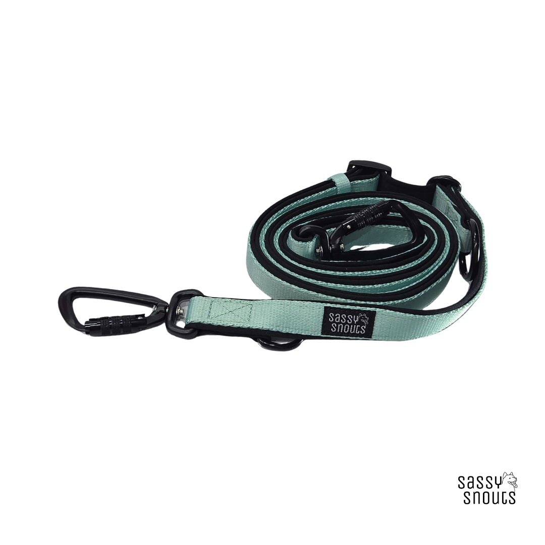 Sassy Snouts Classic Multi-way Padded Leash (2.5 cm) in Mint