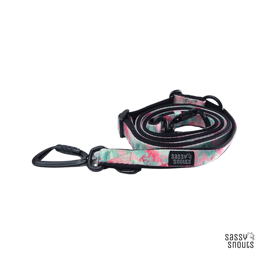 Sassy Snouts Classic Multi-way Padded Leash (2.5 cm) in Rosebud
