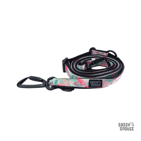 Sassy Snouts Classic Multi-way Padded Leash (2.5 cm) in Rosebud