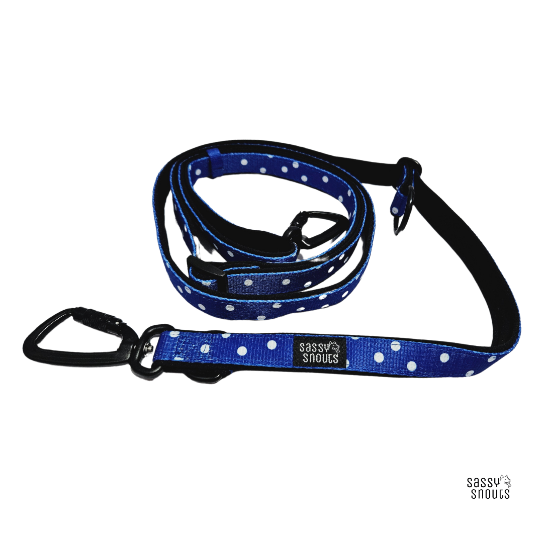 Sassy Snouts Classic Multi-way Padded Leash in Whimsical Royal (Gen 2.0)
