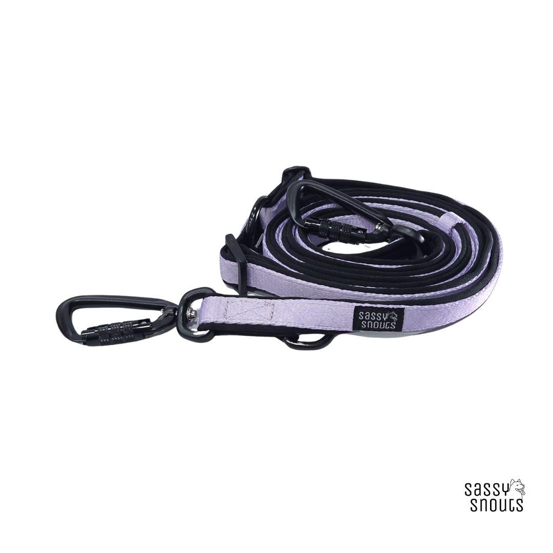 Sassy Snouts Classic Multi-way Padded Slim Leash (2 cm) in Lilac