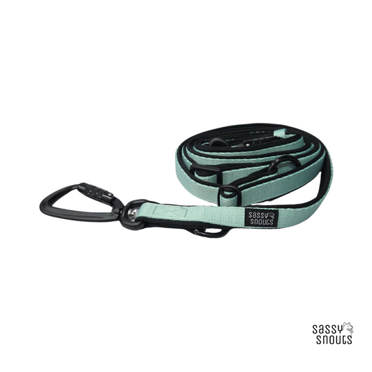 Sassy Snouts Classic Multi-way Padded Slim Leash (2 cm) in Mint