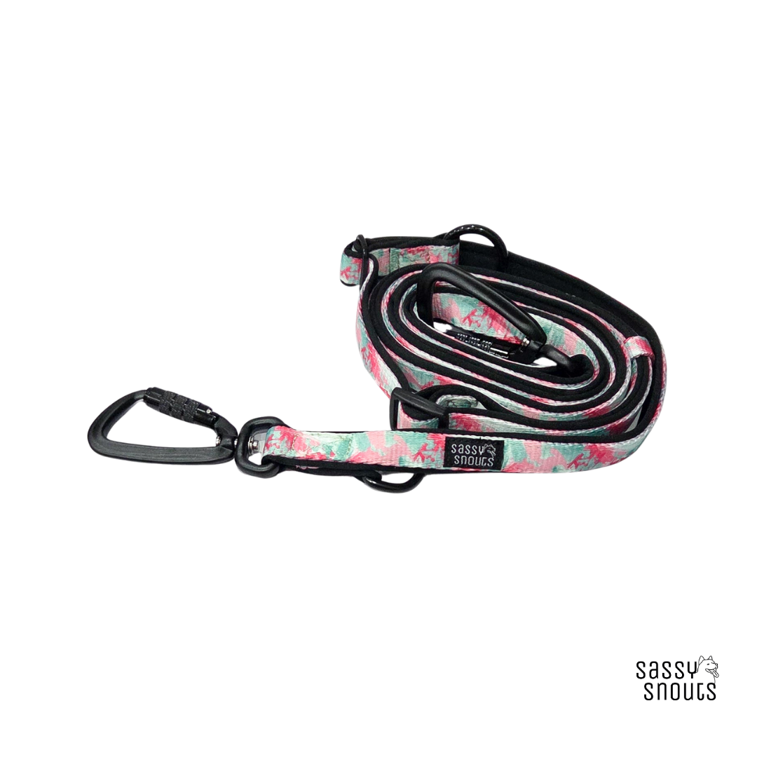 Sassy Snouts Classic Multi-way Padded Slim Leash (2 cm) in Rosebud