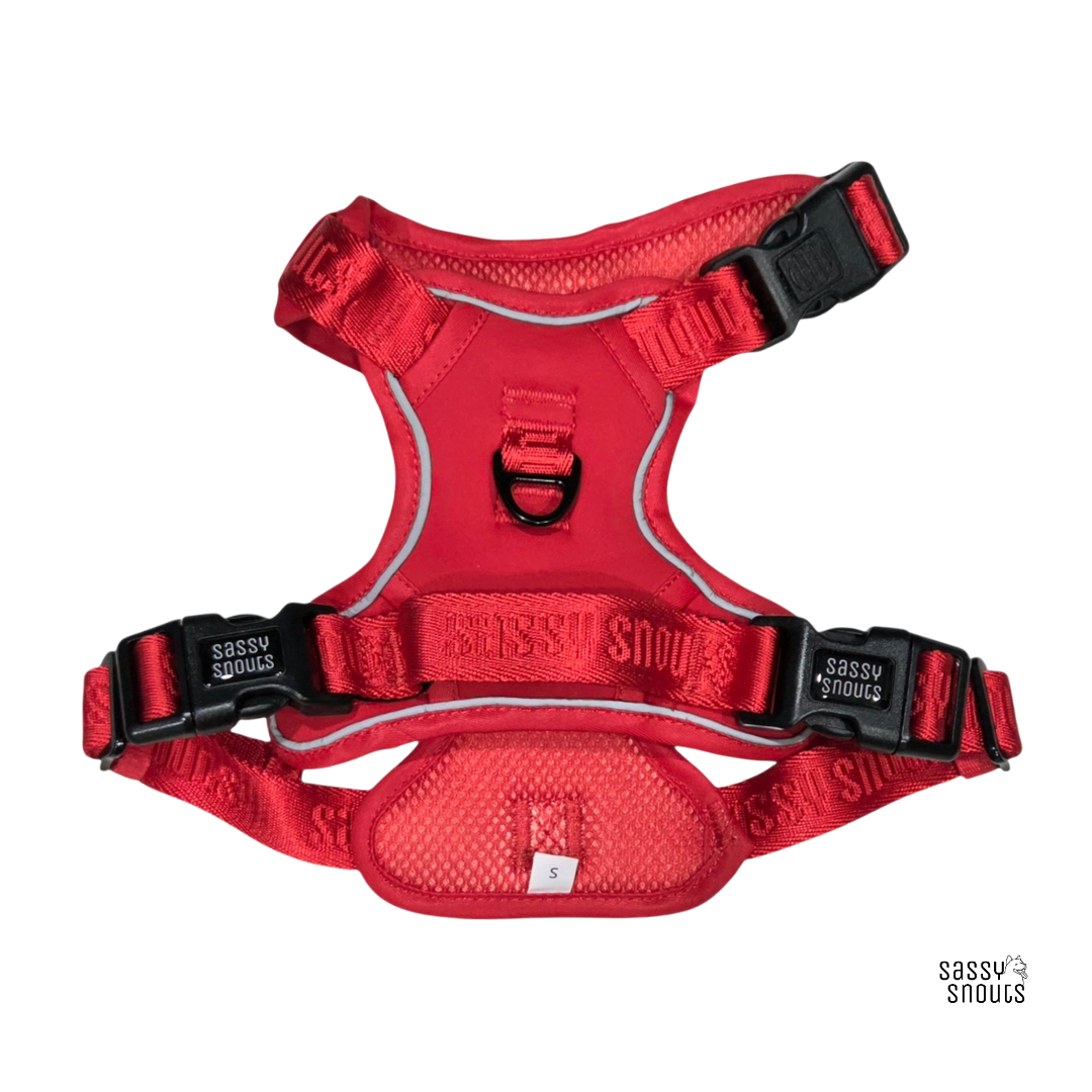 Sassy Snouts Signature Harness in Poppy Red