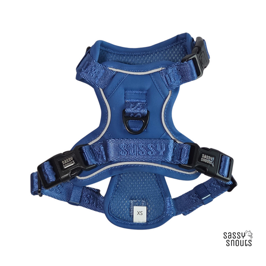 Sassy Snouts Signature Harness in Twilight Blue