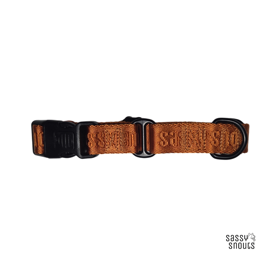 Sassy Snouts Signature Martingale Collar in Caramel (Gen 2.0)