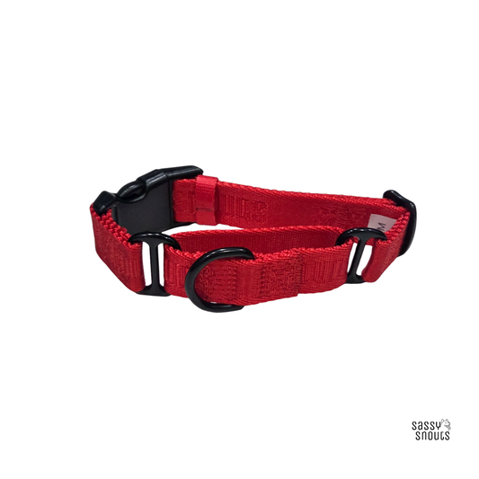Sassy Snouts Signature Martingale Collar in Poppy Red