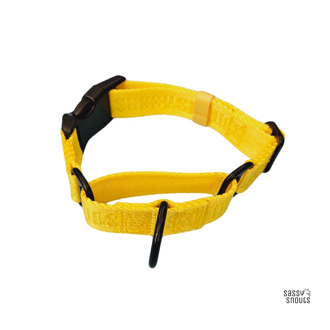 Sassy Snouts Signature Martingale Collar in Sunflower